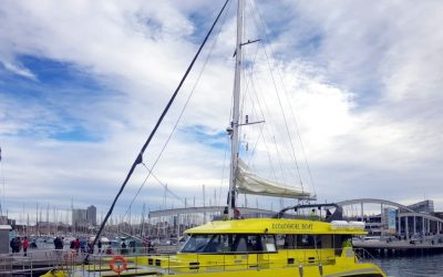 TRANSDIESEL équipe un catamaran destiné au tourisme de croisière