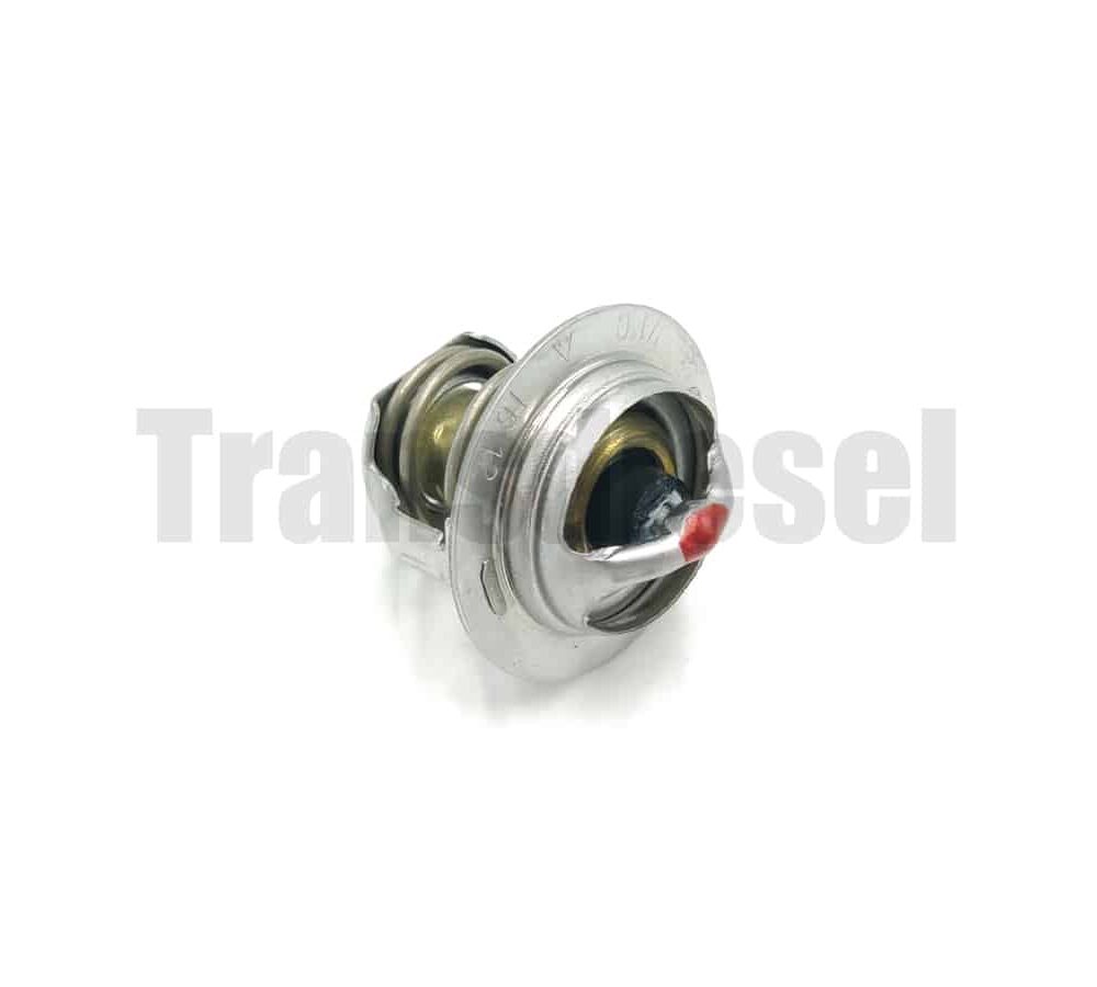 19434-7301-4 Thermostat (M1)