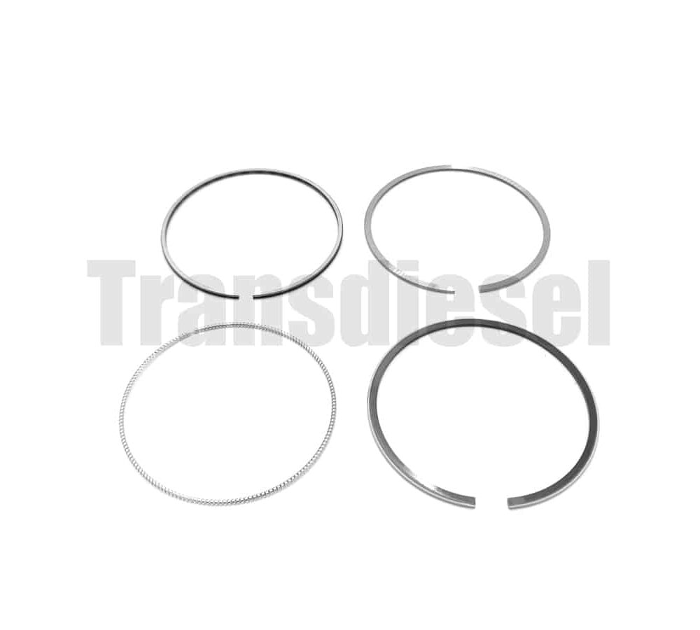 1C011-2105-2 Assy Piston Ring