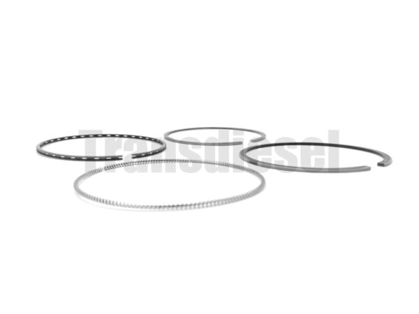 1C011-2105-2 Assy Piston Ring